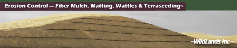 Mulch, Matting and Wattles