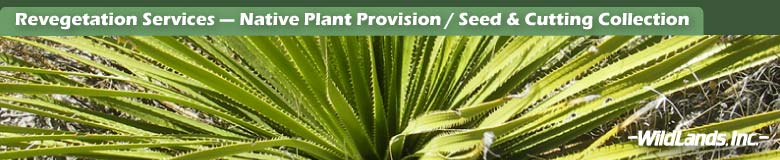 Native Plant Provision
